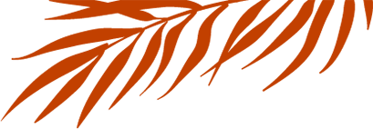 the-regular-leaf-q1-1