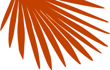 the-regular-leaf-q1-2